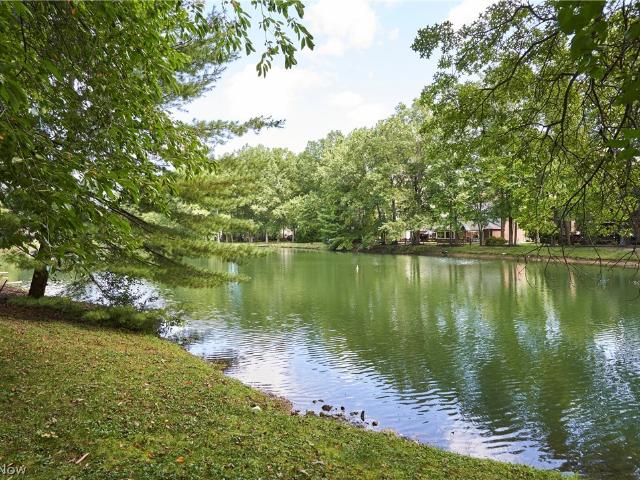 315 Hollythorn Drive