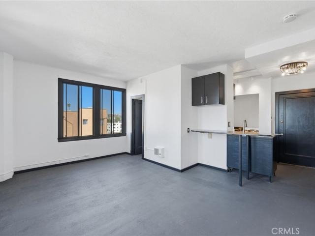 315 W 3rd Street 410