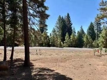 315 TOP OF THE WEST DR, CHESTER, CA 96020