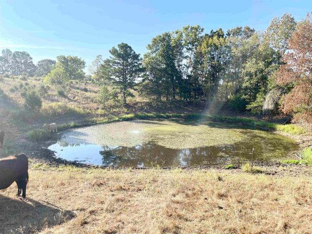 3169 Fairview Road
