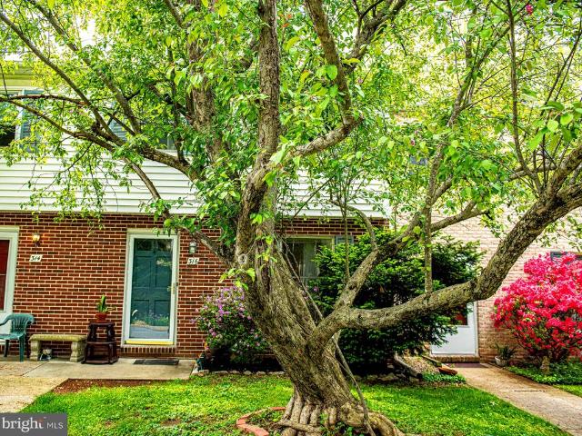 316 Franklin Street # 316