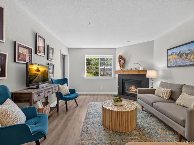 31719 Rocky Village Drive # 115