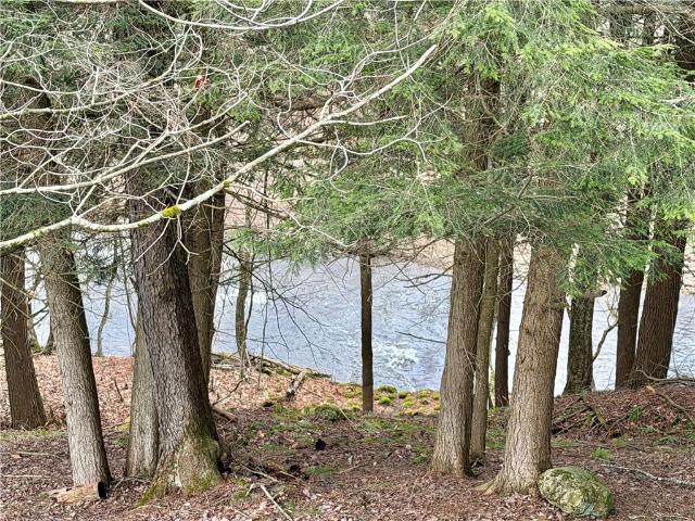 317 County Road 8