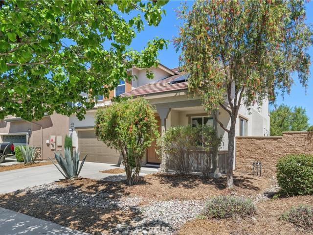 31876 Deerberry