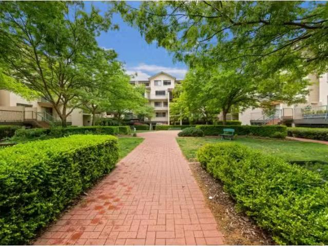 318/15 Jardine Street, Kingston Apartment for rent Listed by.