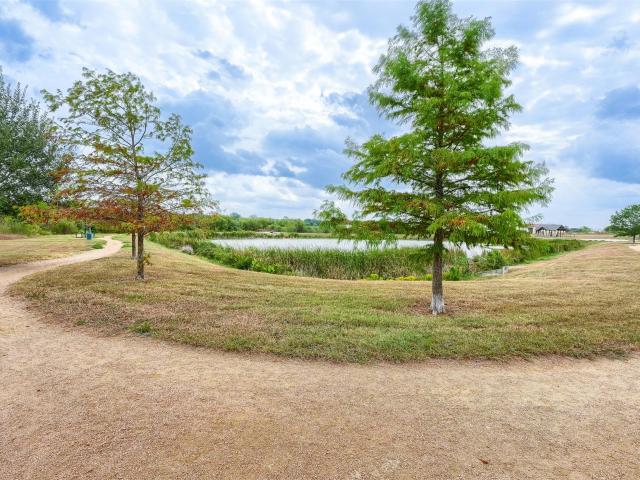 318 Blossom Valley Strm