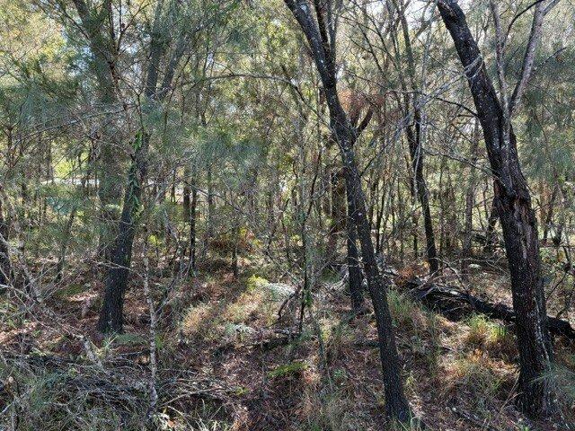 31 Tahlin Drive, Russell Island Vacant Land Opportunity
