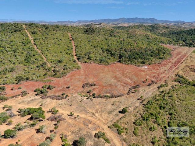 31 Hectares of Useable Land in Bracewell!