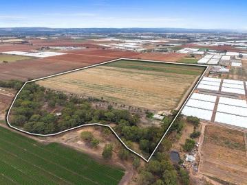 31 Hectares of Premium Land