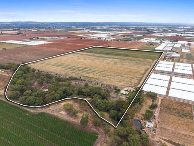 31 Hectares of Premium Land