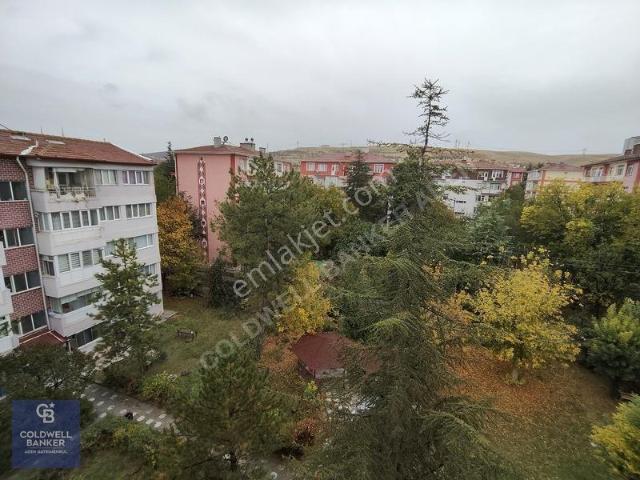 3+1 Kiralık