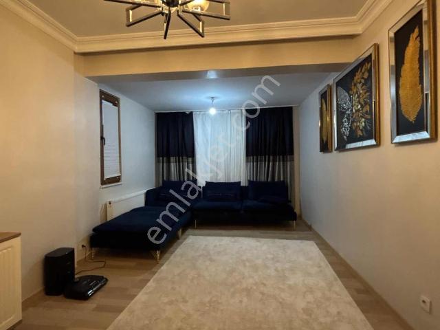 3+1 Kiralık