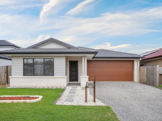 31 Koel Street, PALLARA, QLD 4110