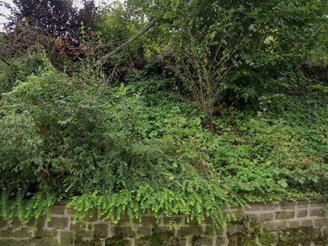 31 m2 apartment for rent in Marburg Biedenkopf