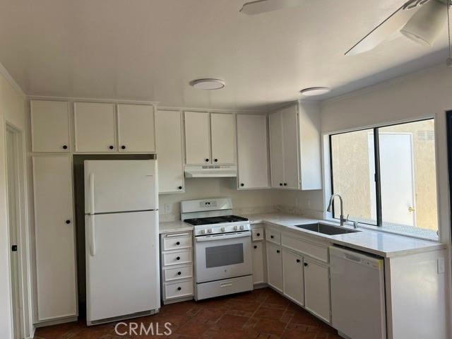 31 Meadowgrass