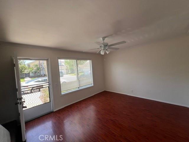 31 Meadowgrass