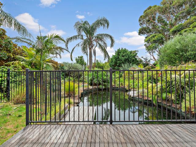 31 Potter Street, Black Rock VIC 3193 House For Rent | Domain