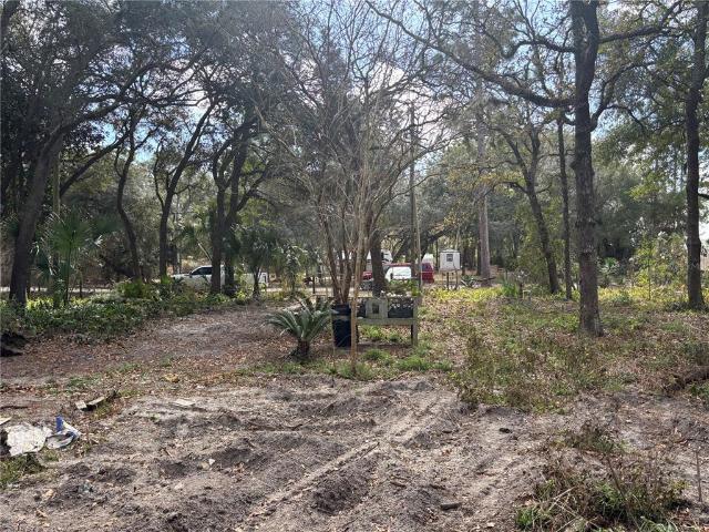 31 SE 190th Ave, Old Town, FL 32680 | MLS #O6372