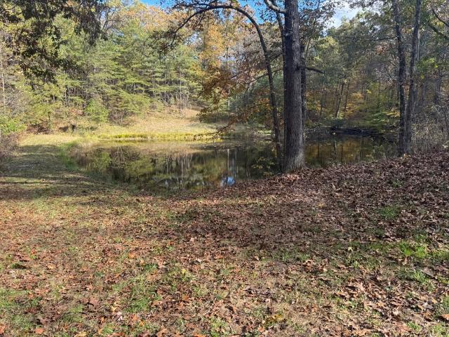 32045 Cabin Hill Road