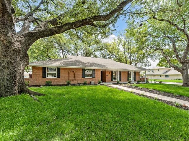 3208 Timberview Road