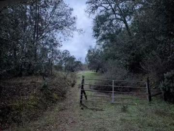 3200 BIRD HAVEN LOOP, COOL, CA 95614