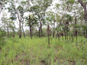 Northern Territory