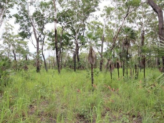 320 Acres awaiting a new owner!