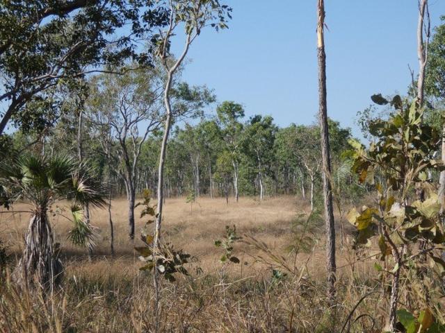 320 acres perfect for livestock Eco tourism or just to get off the grid and enjoy life
