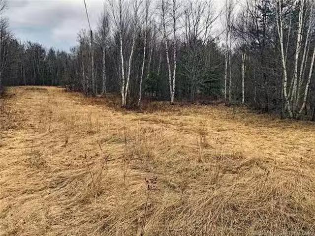 320 Pleasant Dr, Minto, NB, O0O 0O0 vacant land for sale Li.