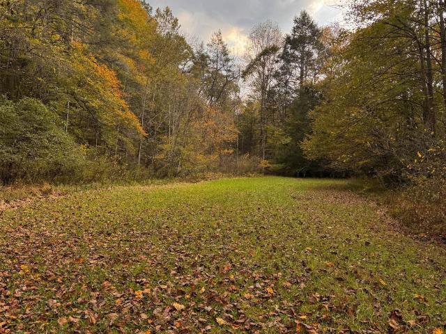 3210 Ravens Nest Branch Rd
