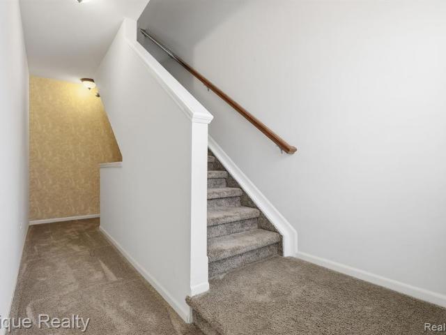 3212 Paradise Trail