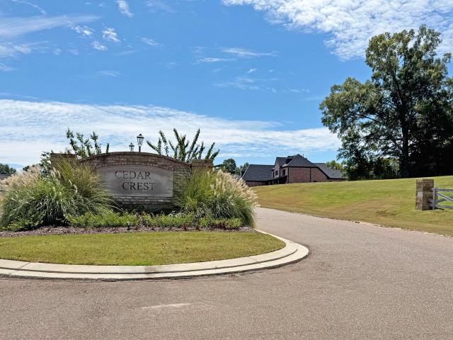 321 Cedar Crest Cove