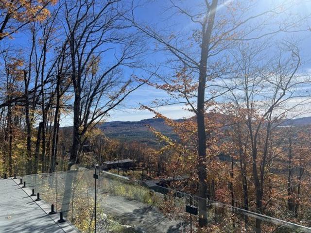 321 Ch. Du Versant, Saint Donat, QC, J0T 2C0 Luxury House for sale | Listing ID 23964 | Royal LePage Carriage Trade Luxury Properties