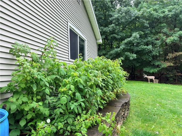 3227 Swain Hill Road
