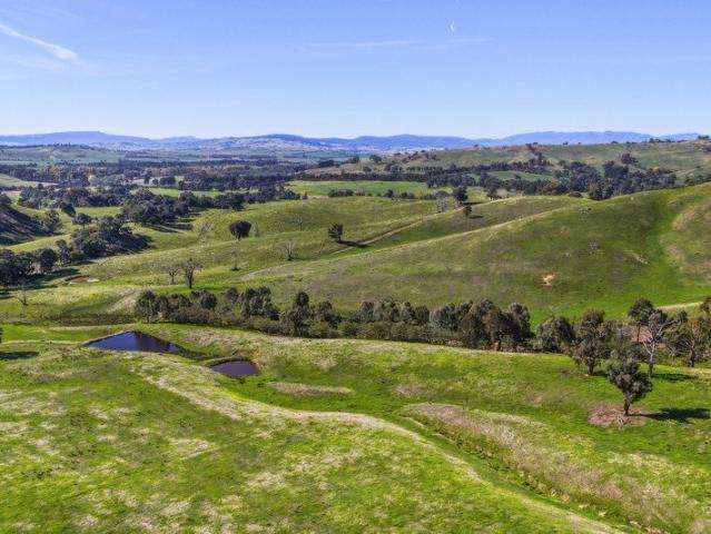 322 ACRES PROVEN CATTLE COUNTRY WITH 7 DAMS