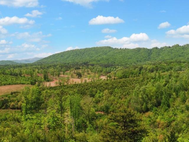 322 Deer Haven Trail