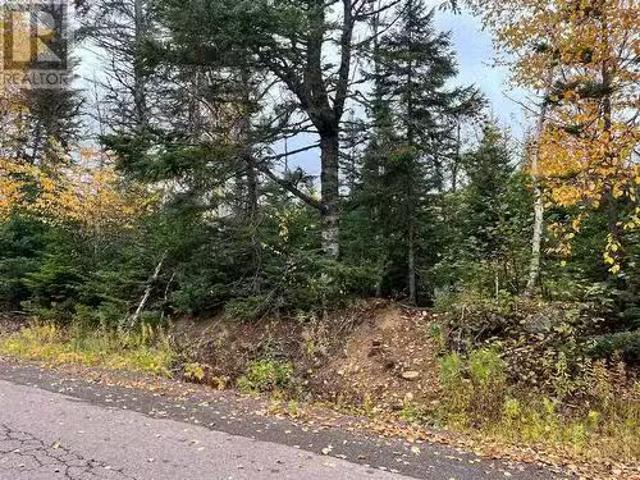 322 Main Street, Norris Arm North, NL, A0G 3N0 vacant land f.