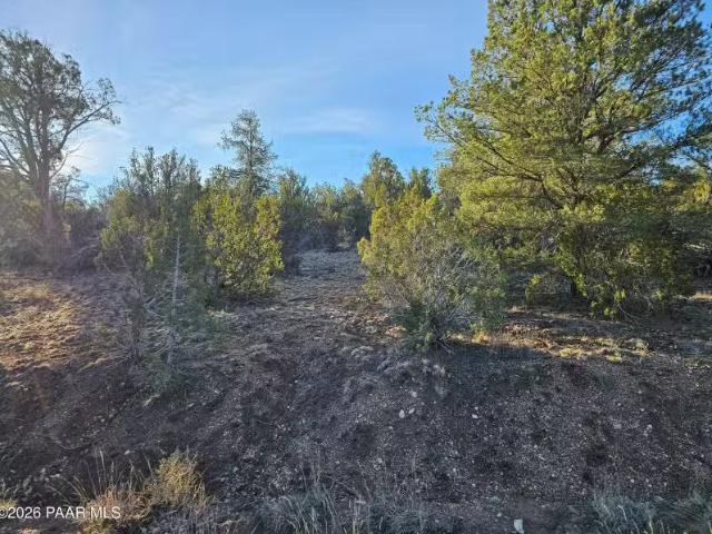 32397 W Camino Oso, Seligman, AZ 86337 MLS 1078941