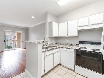 3231 Allen Parkway 1211