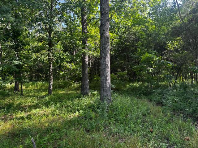 32485 Heritage Trail
