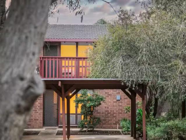 3/24 Cohen Court, CLOVELLY PARK, SA 5042 House for Rent