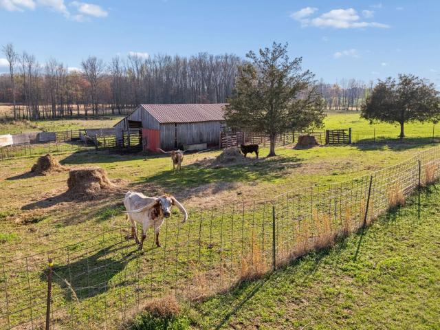324 Laster Holman Rd