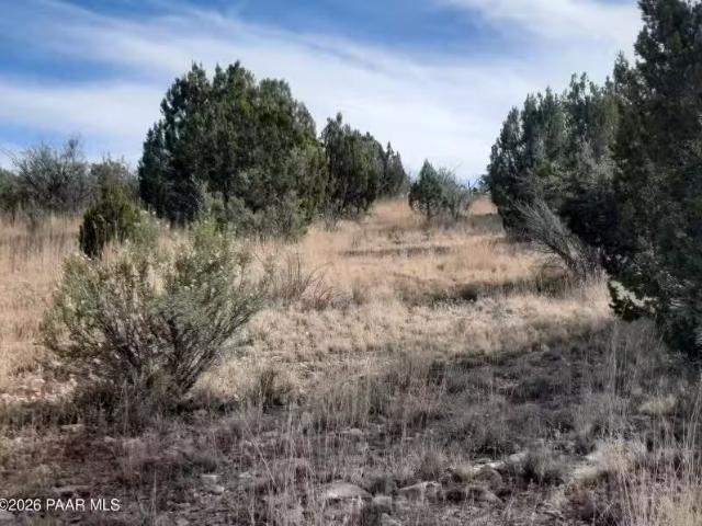 32563 W Ancho Rd, Seligman, AZ 86337 MLS 1078762
