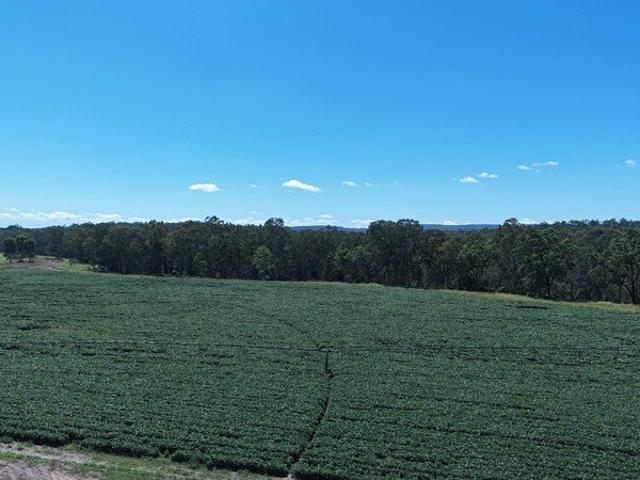 325.45ha Mixed Farming Property Cattle, Cropping & Hay Only 10 Minutes from Eidsvold