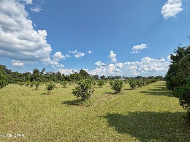 3280 Willie Ln, Cottondale, FL 32431