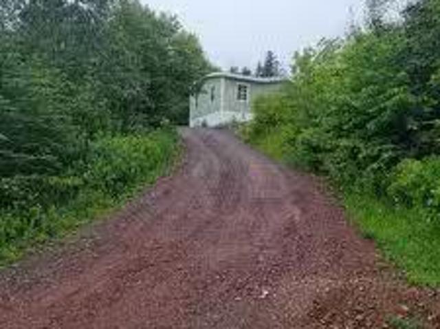 328 Main Road, Lewin'S Cove, NL, A0E 2G0 house for sale Lis.