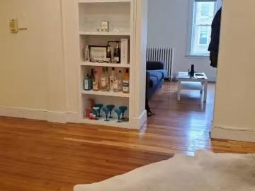 328 Saint Paul St #1B, Brookline, MA 02446