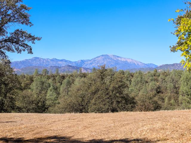 3295 Santa Rosa Way