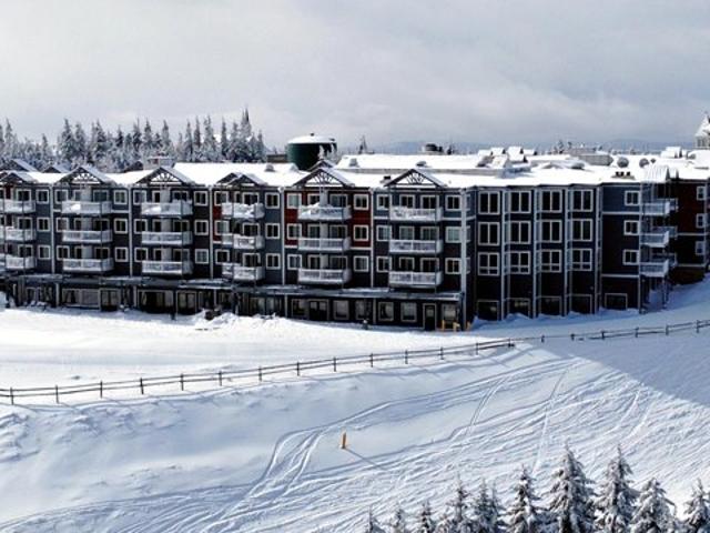 329 Mountain Ldg, Snowshoe, WV 26209
