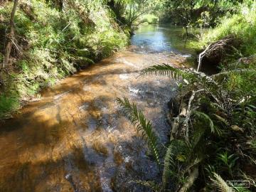 32.32 HA IN GARRADUNGA